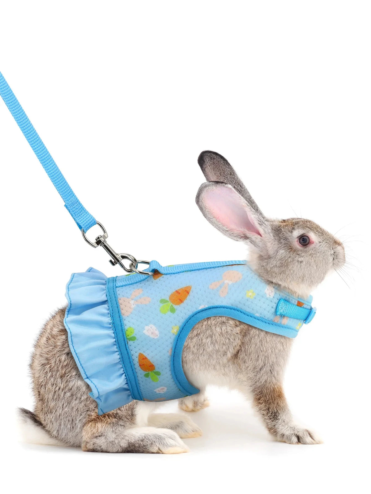 Adjustable Mesh Harness with Leash for Small Pets