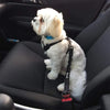 Adjustable Pet Car Seat Belt with Shock-Absorbing Elastic