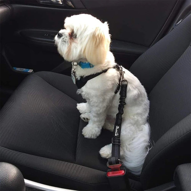 Un caniche blanc est assis dans un siège de voiture pour animaux avec une ceinture de sécurité réglable.