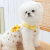 Princess Mesh Dog Dress with Bow Lace Trim