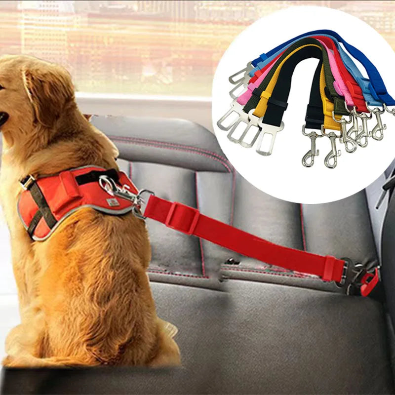 A golden dog wearing a red pet car safety harness with a seat belt clip, next to a display of colorful harnesses.