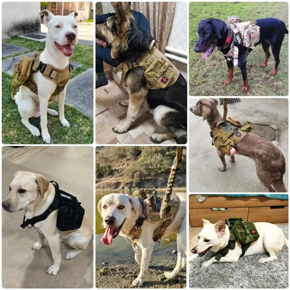 Tactical Dog Harness with MOLLE Pouches and Collar Set