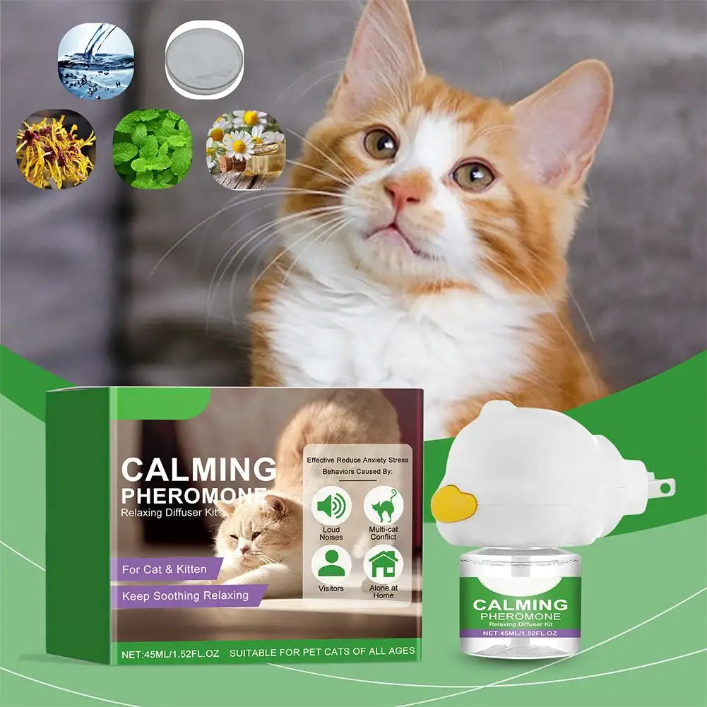 Un gato naranja y blanco esponjoso sentado junto a un kit de difusor de feromonas calmantes para reducir el estrés en gatos.
