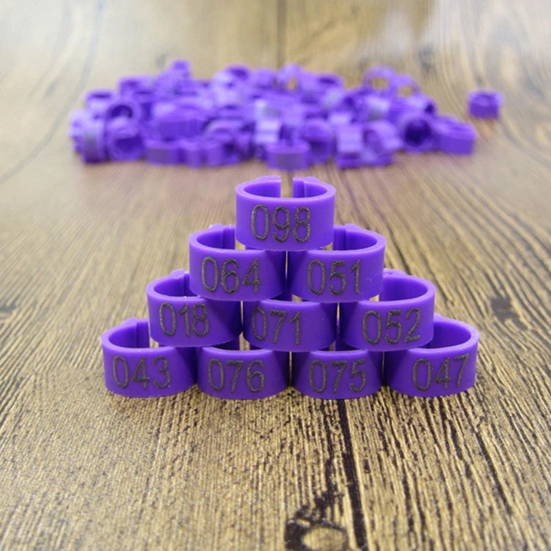 A collection of purple plastic bird identification foot rings arranged in a pyramid shape on a wooden surface.