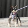 Classic Plaid Dog Collar, Harness & Leash Set with Bowtie