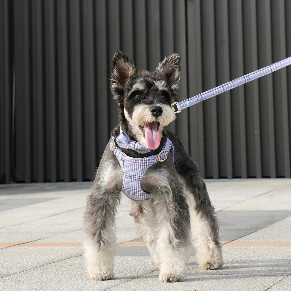 Classic Plaid Dog Collar, Harness & Leash Set with Bowtie