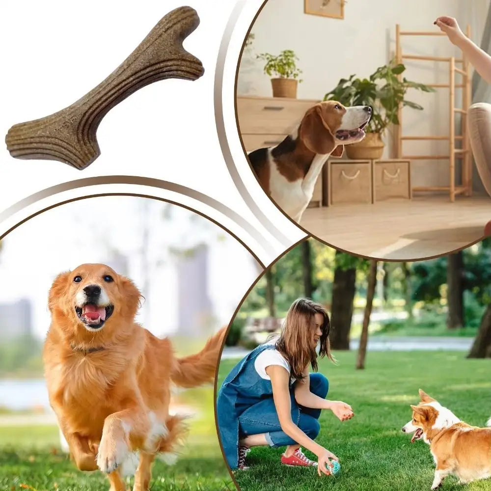 A dog is running in a park while another image shows natural wood dog chew sticks.