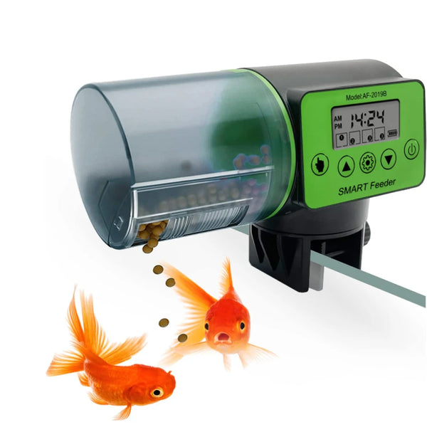 A green and black automatic fish feeder with an LCD timer is shown next to a small orange goldfish.