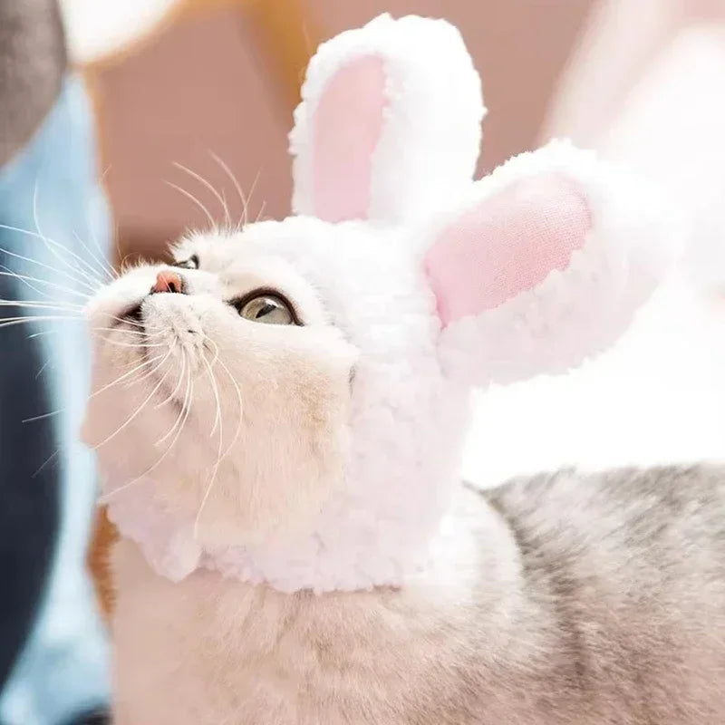 Sombrero de Melena de León para Mascotas