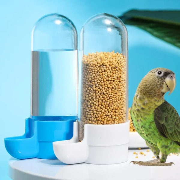 A clear glass hanging bird water dispenser filled with water and a seed-filled container, next to a small green parrot.