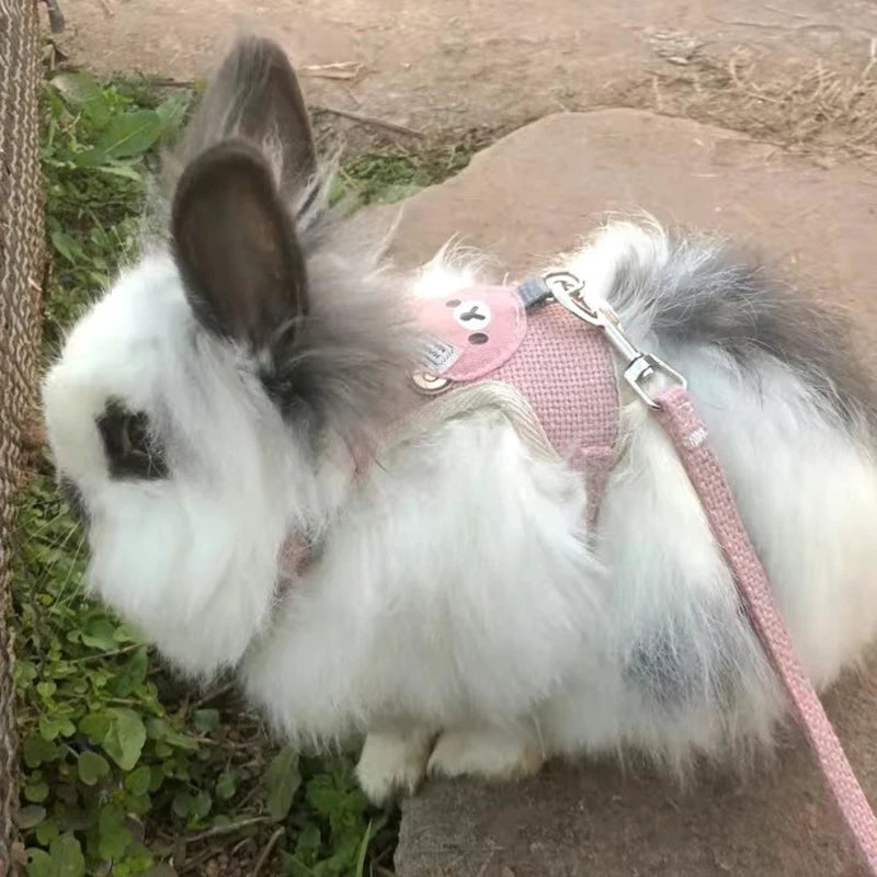 Adjustable Linen Rabbit Harness and Leash Set with Padded Comfort