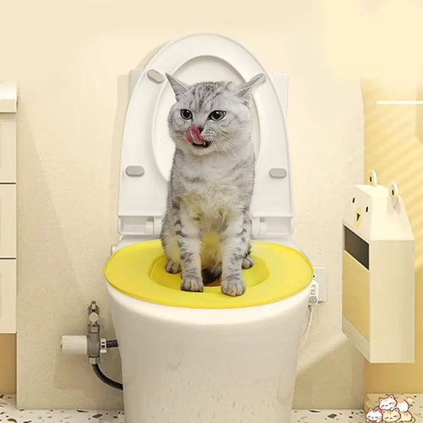 Eine graue Katze sitzt auf einem gelben wiederverwendbaren Toilettraining-Sitz in einer weißen WC-Schüssel.