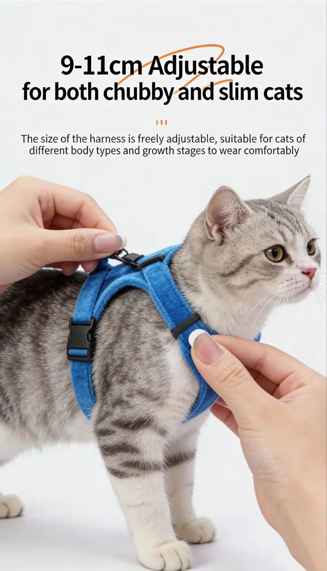 A hand adjusts a blue cat collar for a tabby kitten, demonstrating its adjustable size.
