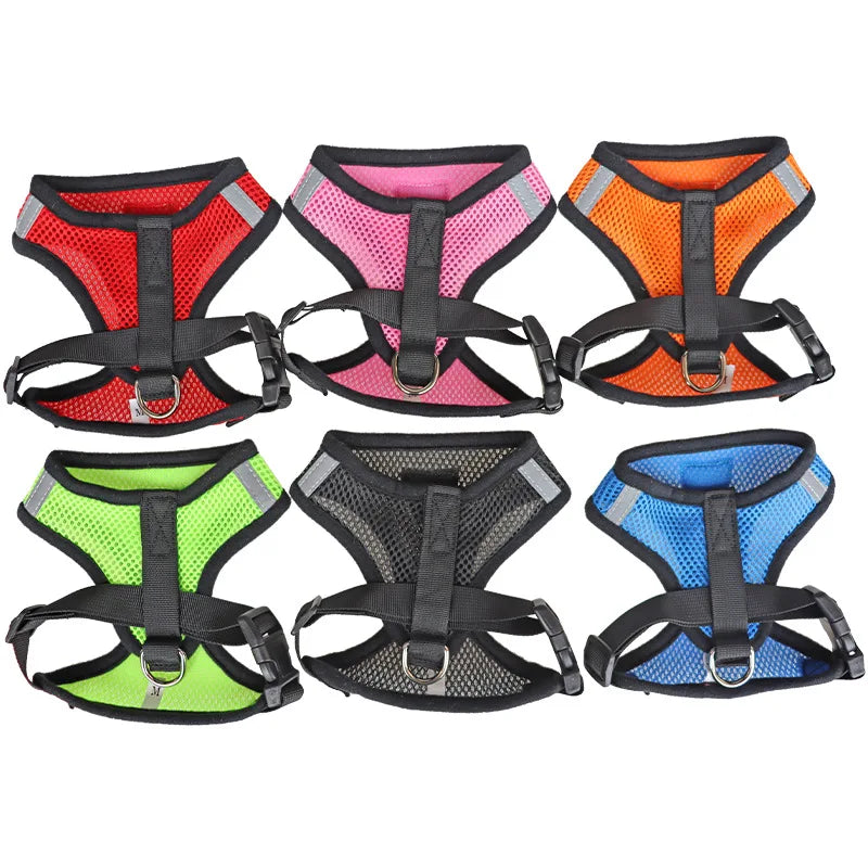 Verstellbares Mesh-Hundegeschirr und Leinen-Set