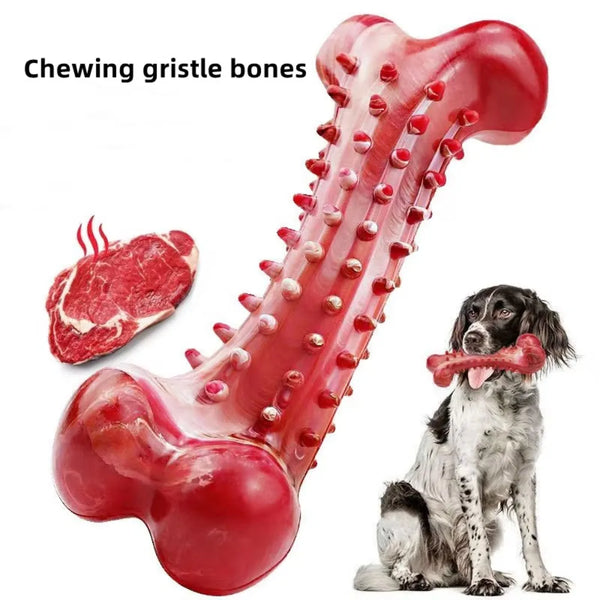A bright red chewing gristle bone for dogs, shown next to a dog, used for teeth cleaning and training.