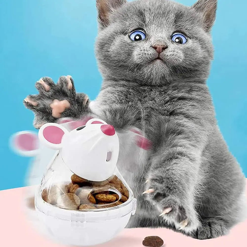 A fluffy gray kitten is looking at an interactive cat food dispensing ball toy bowl with kibble inside.
