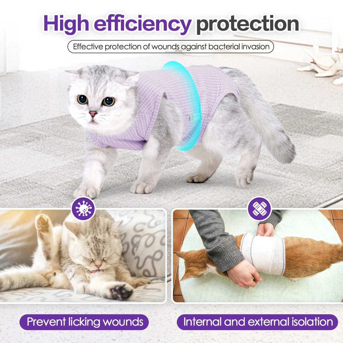 A fluffy gray cat wearing a purple protective suit designed for high efficiency wound protection.