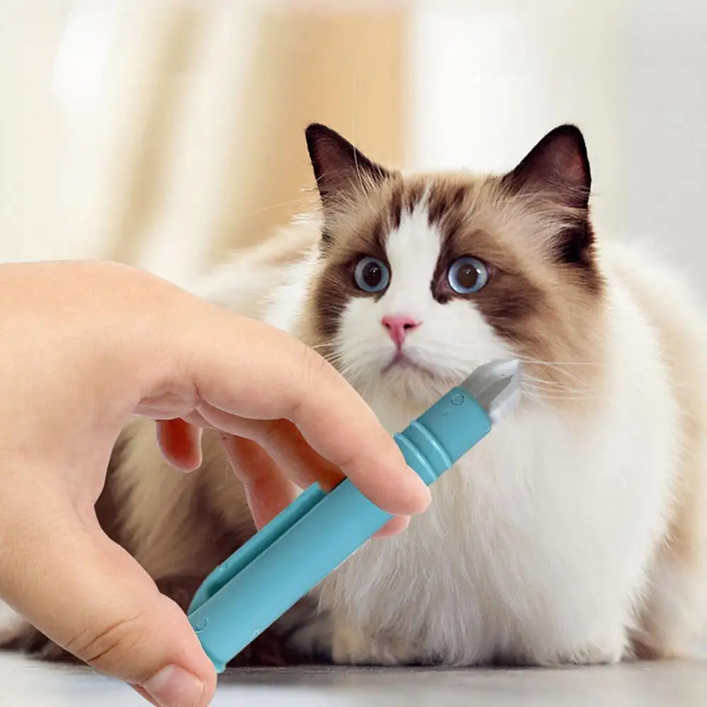 Une main utilise un outil bleu pour retirer des tiques d'un chat.