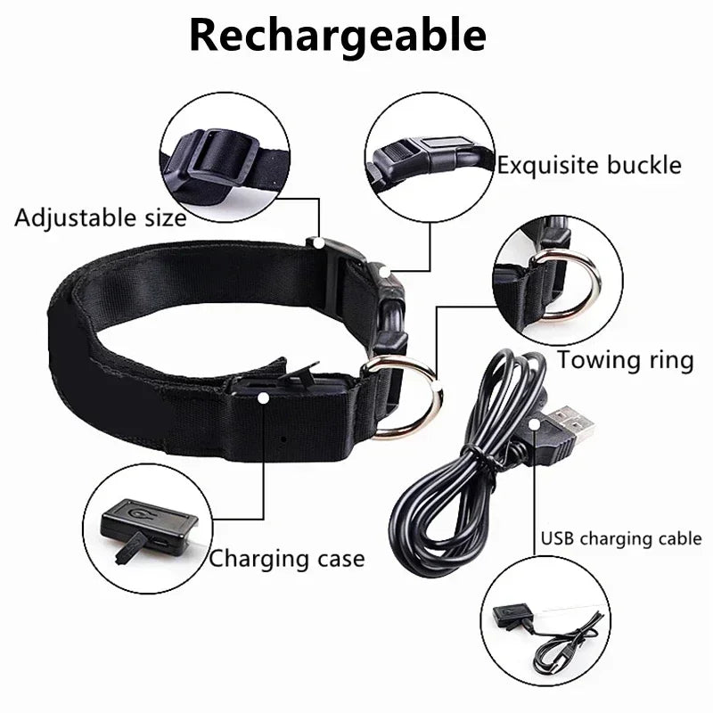 USB-aufladbarer LED-Hundehalsband für Nachtsicherheit