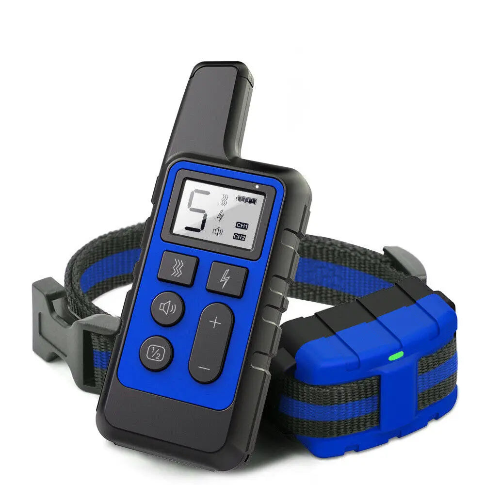 Collier d'éducation électrique noir avec accents bleus et affichage numérique sur une sangle noire.