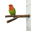 Natural Wood Forked Bird Perch for Small Parrots