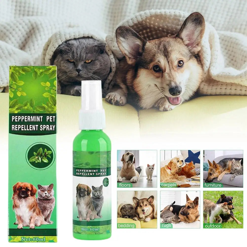 Botella de spray verde para repelente de mascotas junto a un gato y un perro descansando en una manta blanca.