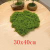 Natural Green Preserved Moss for DIY Crafts and Decor