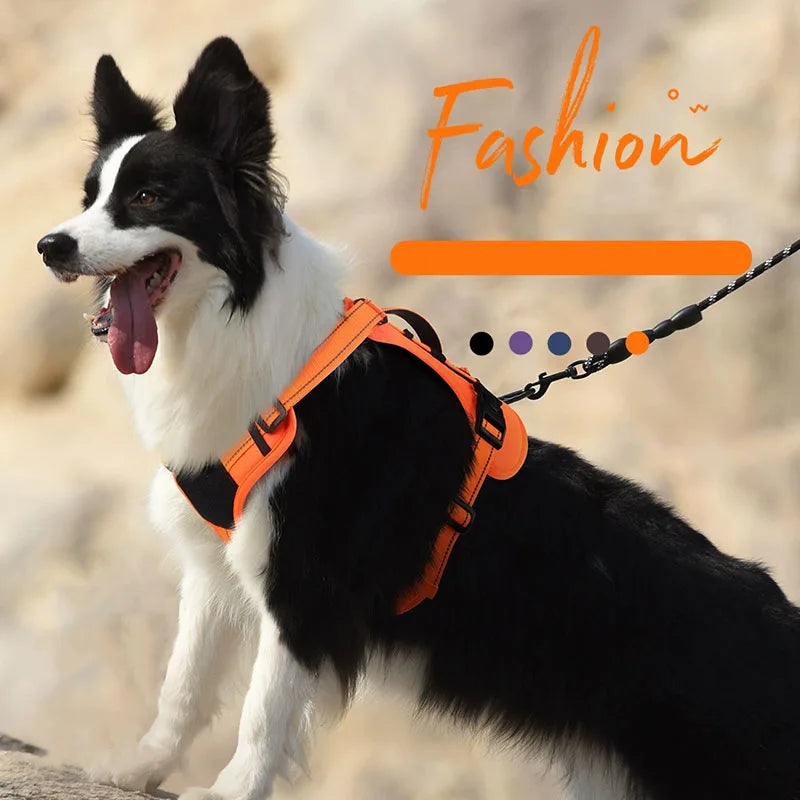 A black and white dog wearing an orange heavy-duty no-pull harness and leash, standing outdoors.