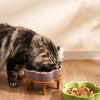 Ceramic Slow Feeder Bowl for Cats and Small Dogs