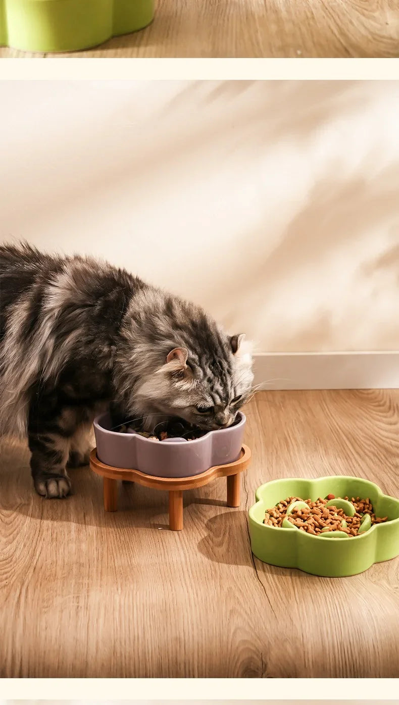 Ceramic Slow Feeder Bowl for Cats and Small Dogs