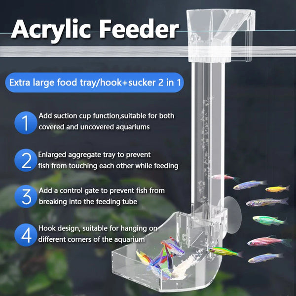Acrylic feeder with a suction cup, aggregate tray, and hook design for feeding fish in an aquarium.