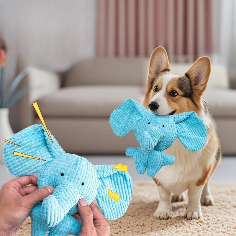 A dog sits next to a hand holding a blue squeaky elephant plush toy for dogs.