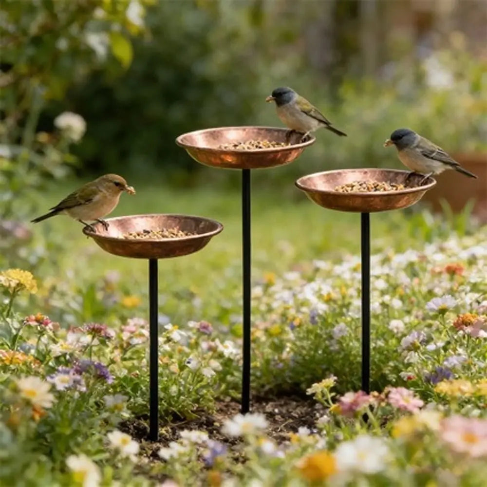 Rustic Iron Bird Feeder with Wide-Mouth Water Basin