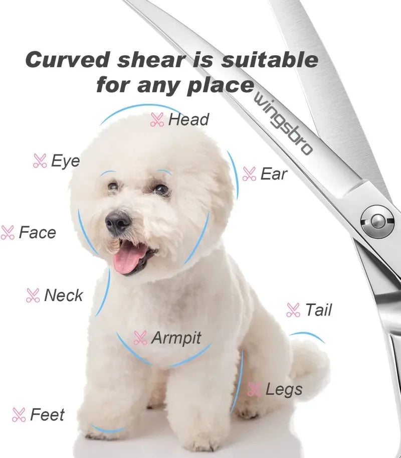 A white dog is shown with various body parts labeled to demonstrate the suitability of curved shear grooming scissors.