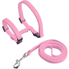 Adjustable Nylon Harness and Leash Set for Small Pets