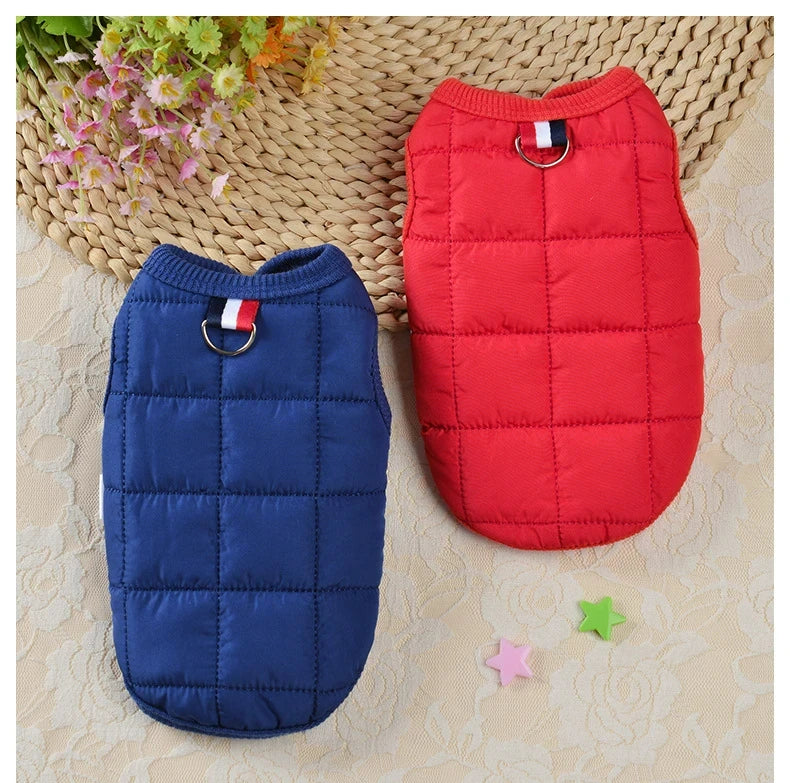 Un manteau de chien rembourré à pois rouge et un manteau de chien rembourré à pois bleu sont exposés sur une surface claire.