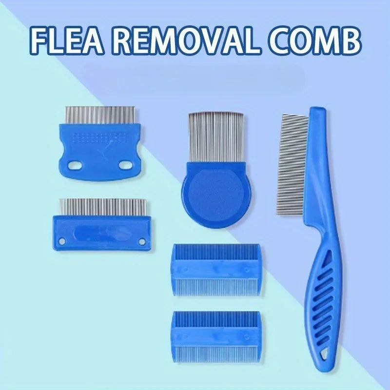 A set of blue and silver combs and brushes for flea removal and lice control.