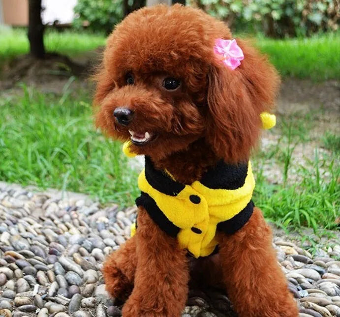Disfraz de Abeja para Perro con Capa con Capucha