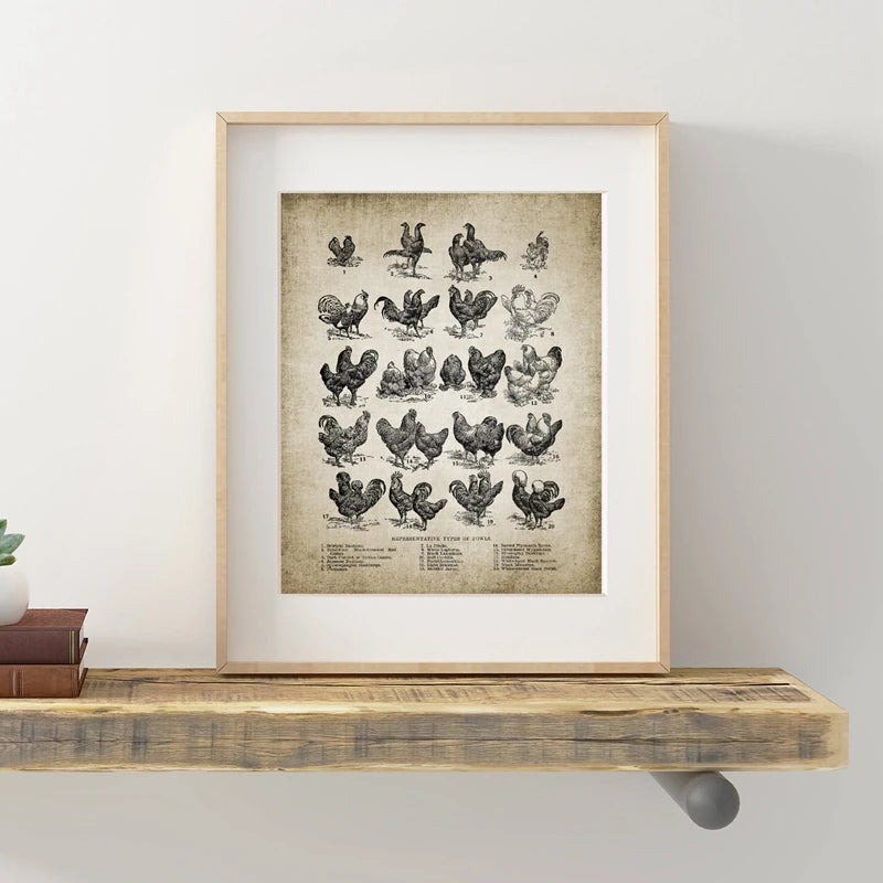 Vintage Farm Animals Poster Print - Chicken, Pig, Sheep and Horse