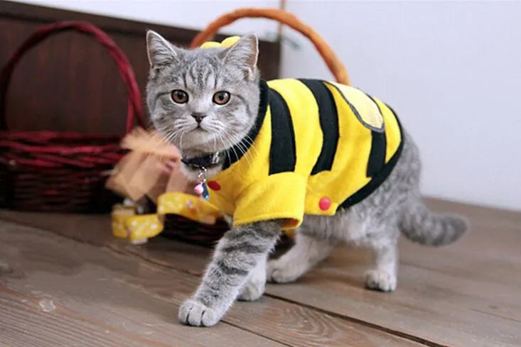 Disfraz de Abeja para Perro con Capa con Capucha