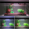 Lampe LED Clip Étanche pour Aquarium