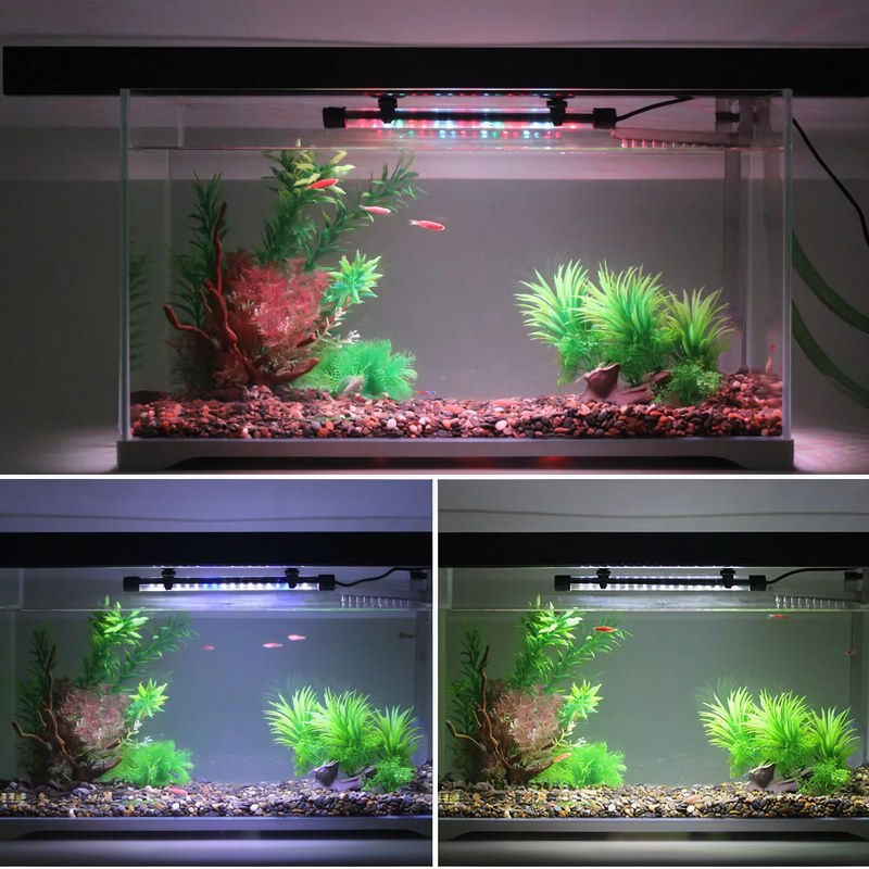 Lampe LED Clip Étanche pour Aquarium