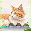 لعبة قضم صحية 4 في 1 بنبتة القطط والفضية