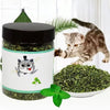 Jouet à mâcher à la catnip bio pour chats