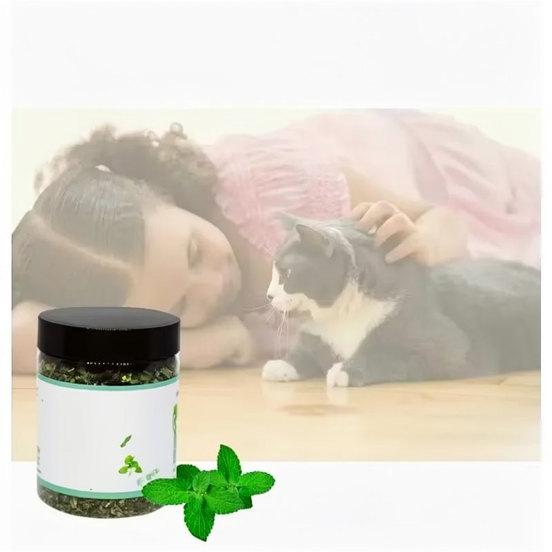 Jouet à mâcher à la catnip bio pour chats