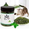 Jouet à mâcher à la catnip bio pour chats