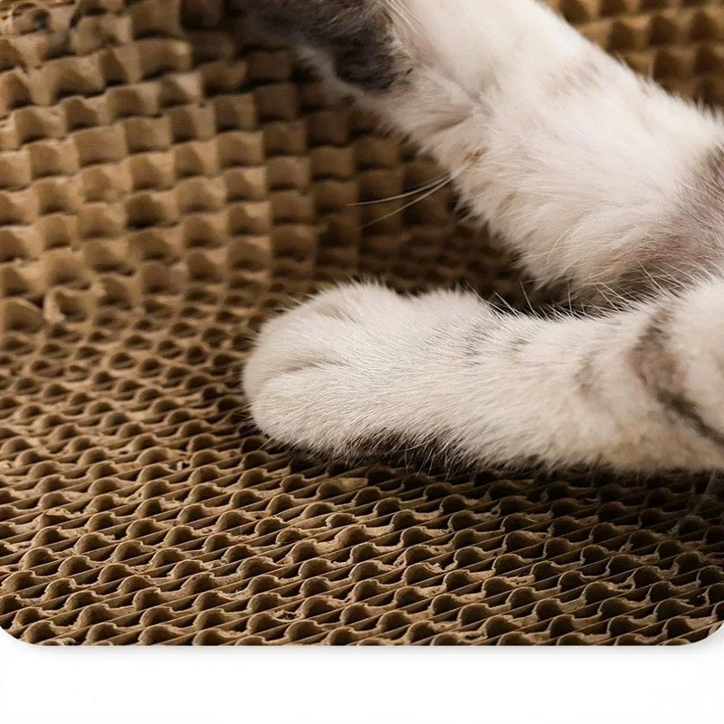 Nid Grattoir en Carton Ondulé pour Chat