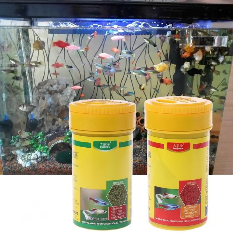 Conteneur jaune de Spiruline et de nourriture pour poissons tropicaux colorée pour aquarium