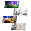 Colle à mousse pour aquarium et aquascaping
