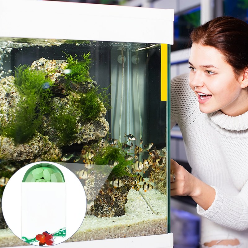 Aquarien-Wasserreinigungstabletten